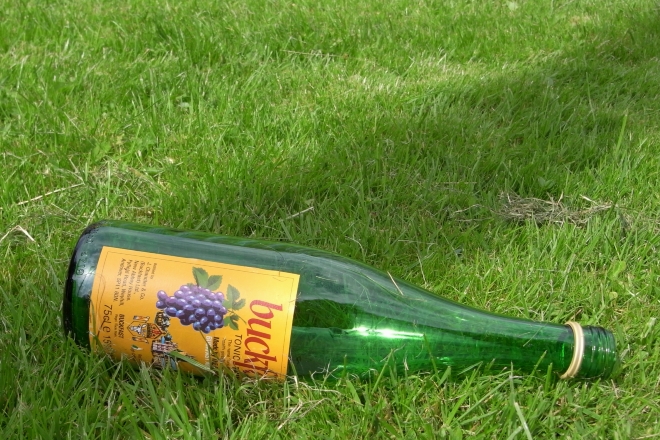 ​A TRNSMT attendee buried a bottle of Buckfast on site ahead of the festival