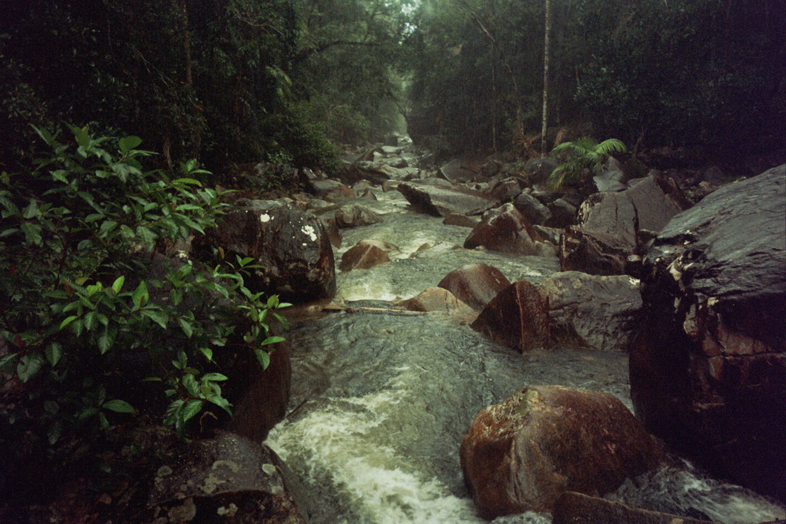 Spotify playlist: 50 dusty deep house gems