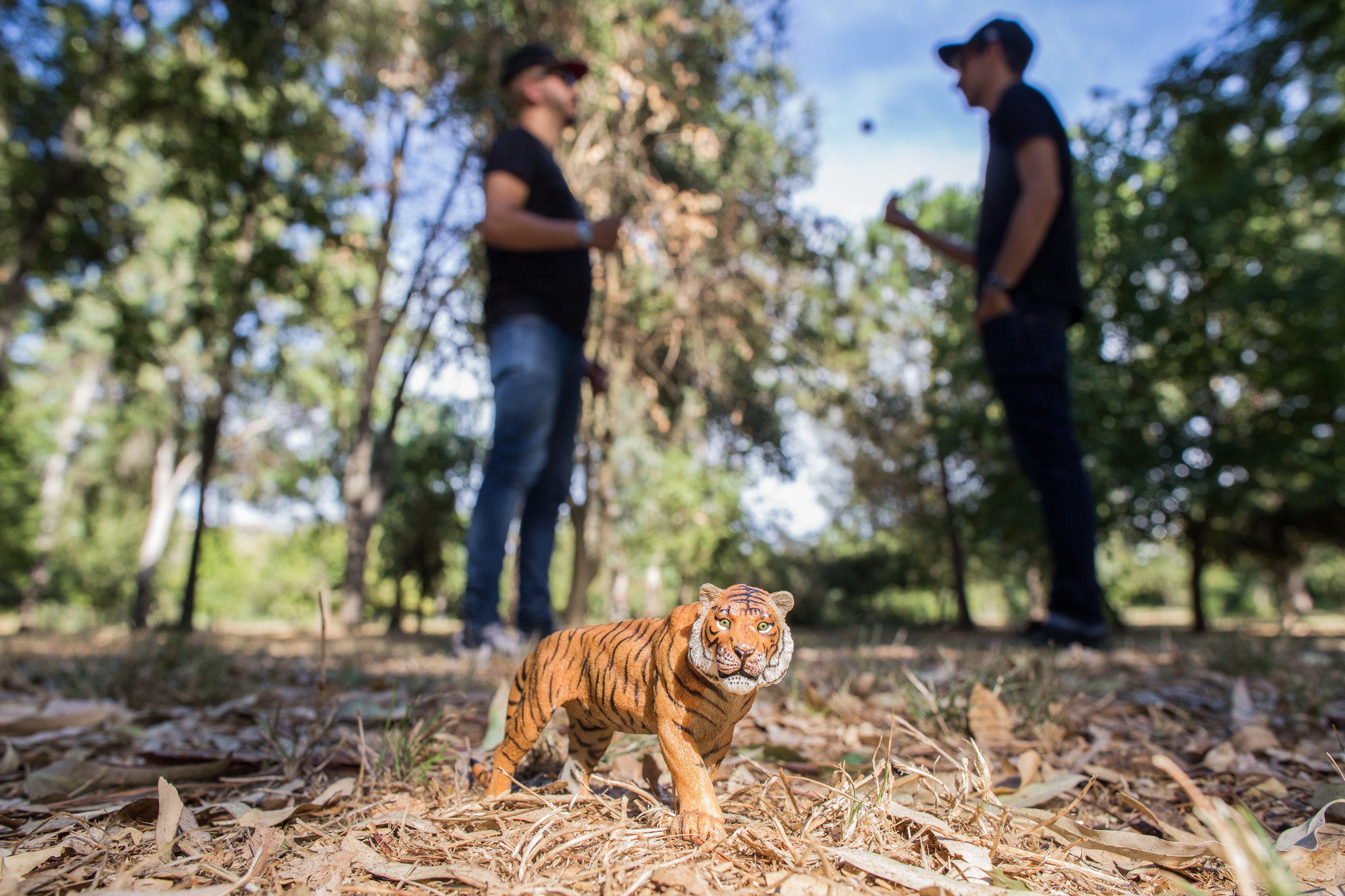 Tiger & Woods are ‘On The Green Again’ with second album