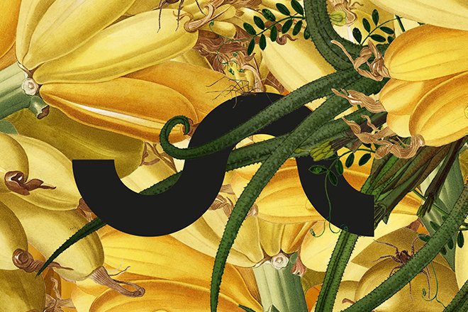 Unsound Krakow announces 2017 theme will be FLOWER POWER