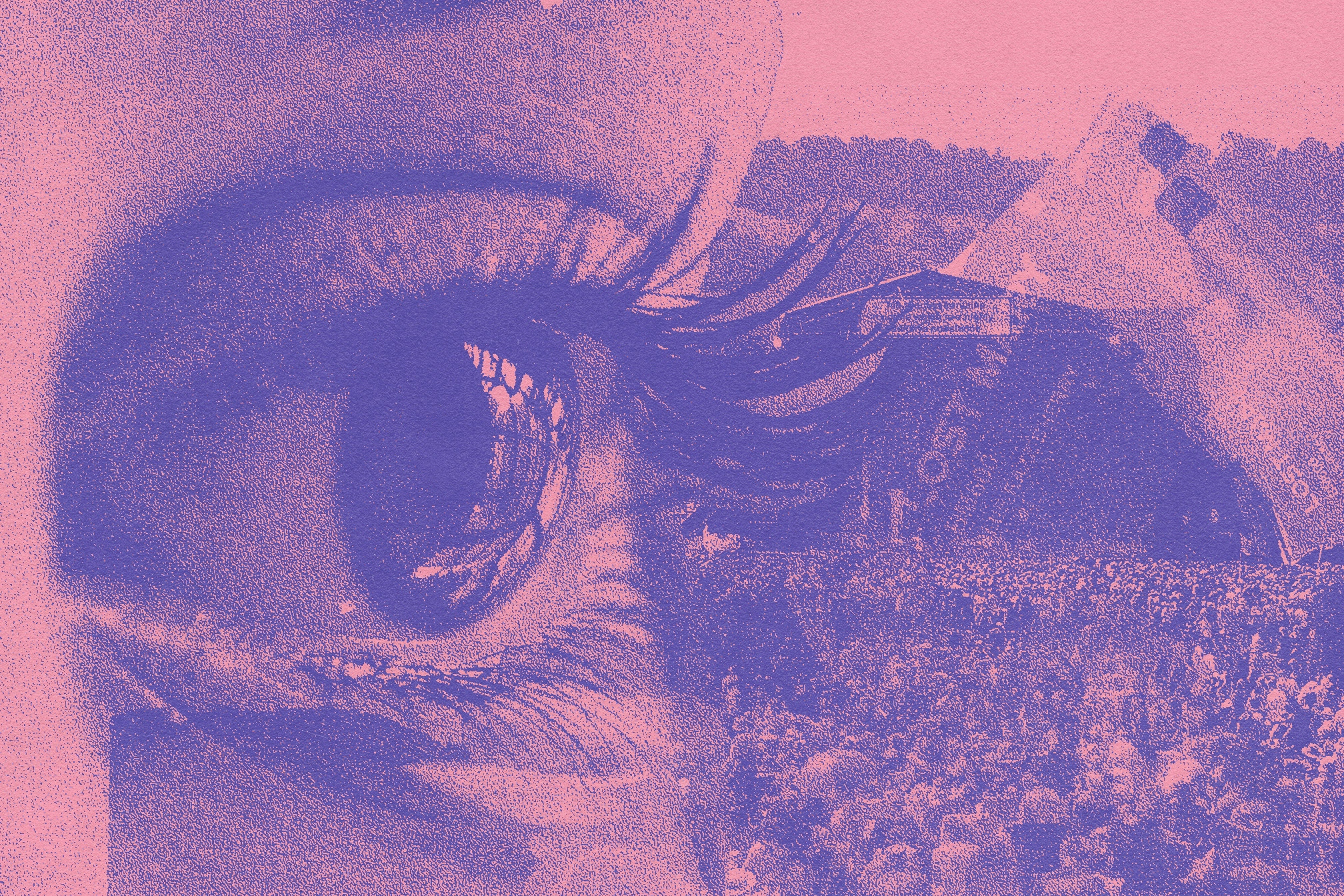 can you buy vapes at glastonbury I went vape cold turkey at Glastonbury, here's how it went
