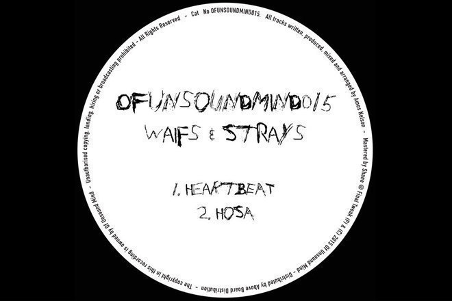 Waifs & Strays