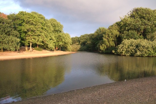​Police praise “nice crowd” at illegal rave in North London