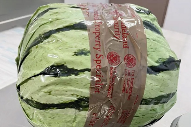 ​$5 million worth of meth discovered in fake watermelons on US-Mexico border