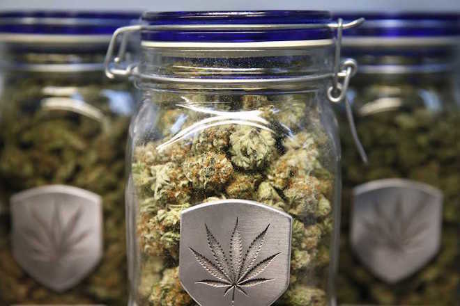 MPs say UK should follow USA’s lead and legalise cannabis
