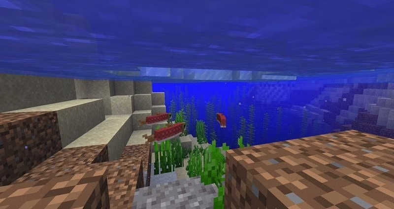 Minecraft Salmon Swimming In Frozen River