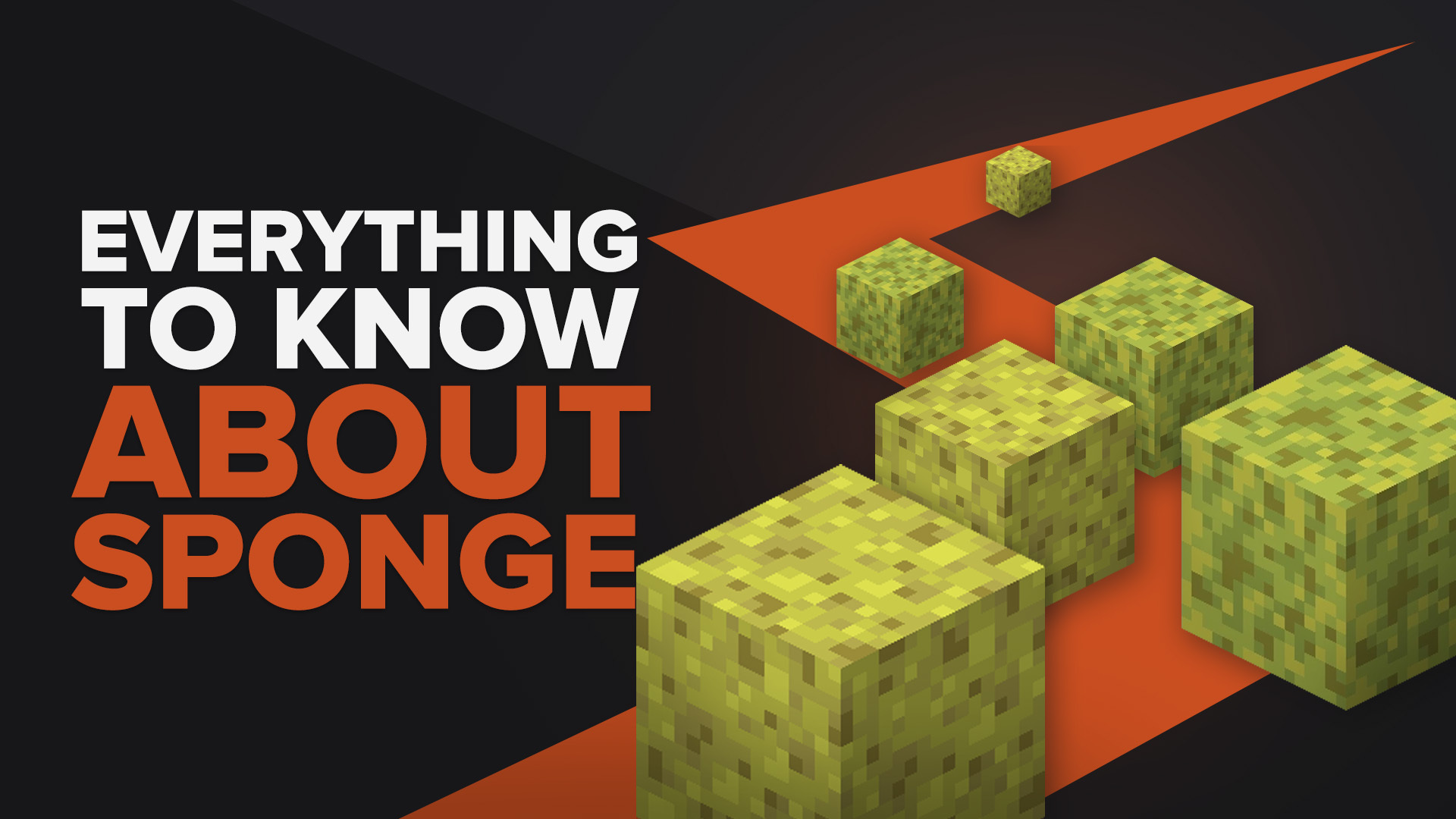 Everything You Need to Know About Sponge [Sponge Minecraft Guide]