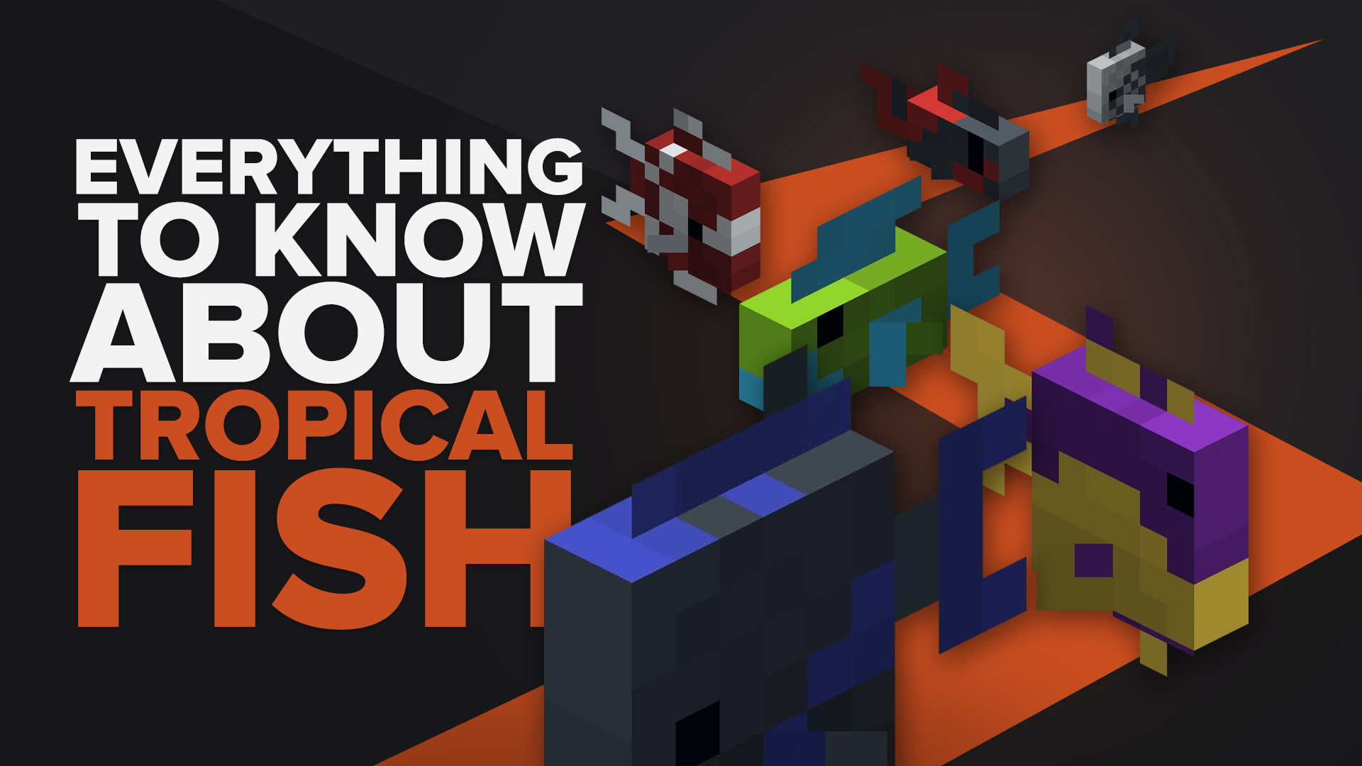 Everything You Need To Know About Tropical Fish Minecraft