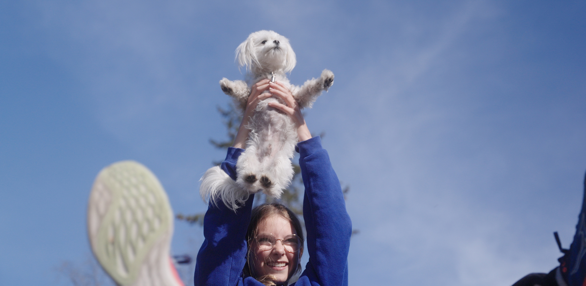 foto. ung smilende jente holder en hvit liten hund over hodet