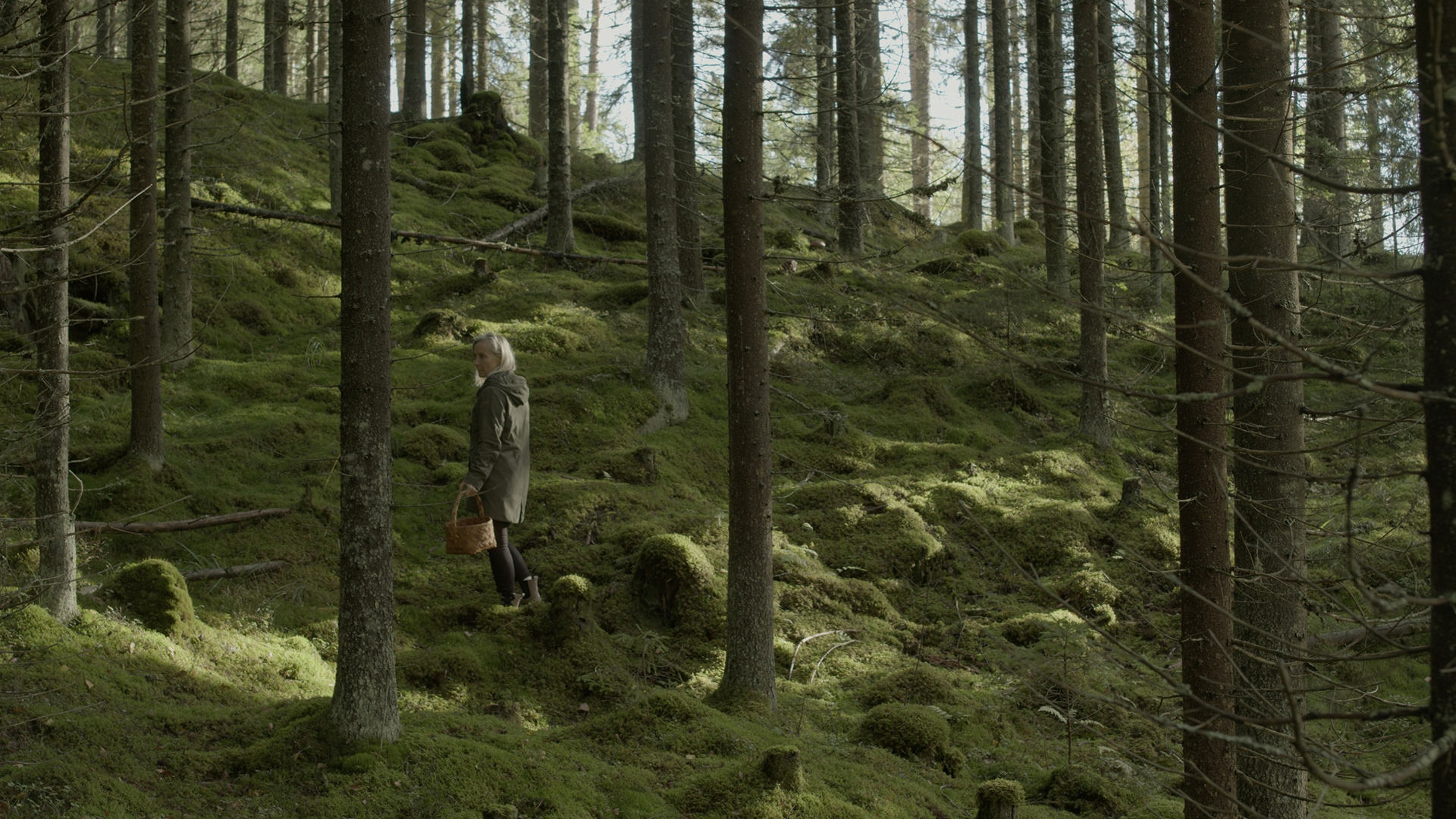 Foto. En kvinne ute i skogen med høye grantrær rundt seg.