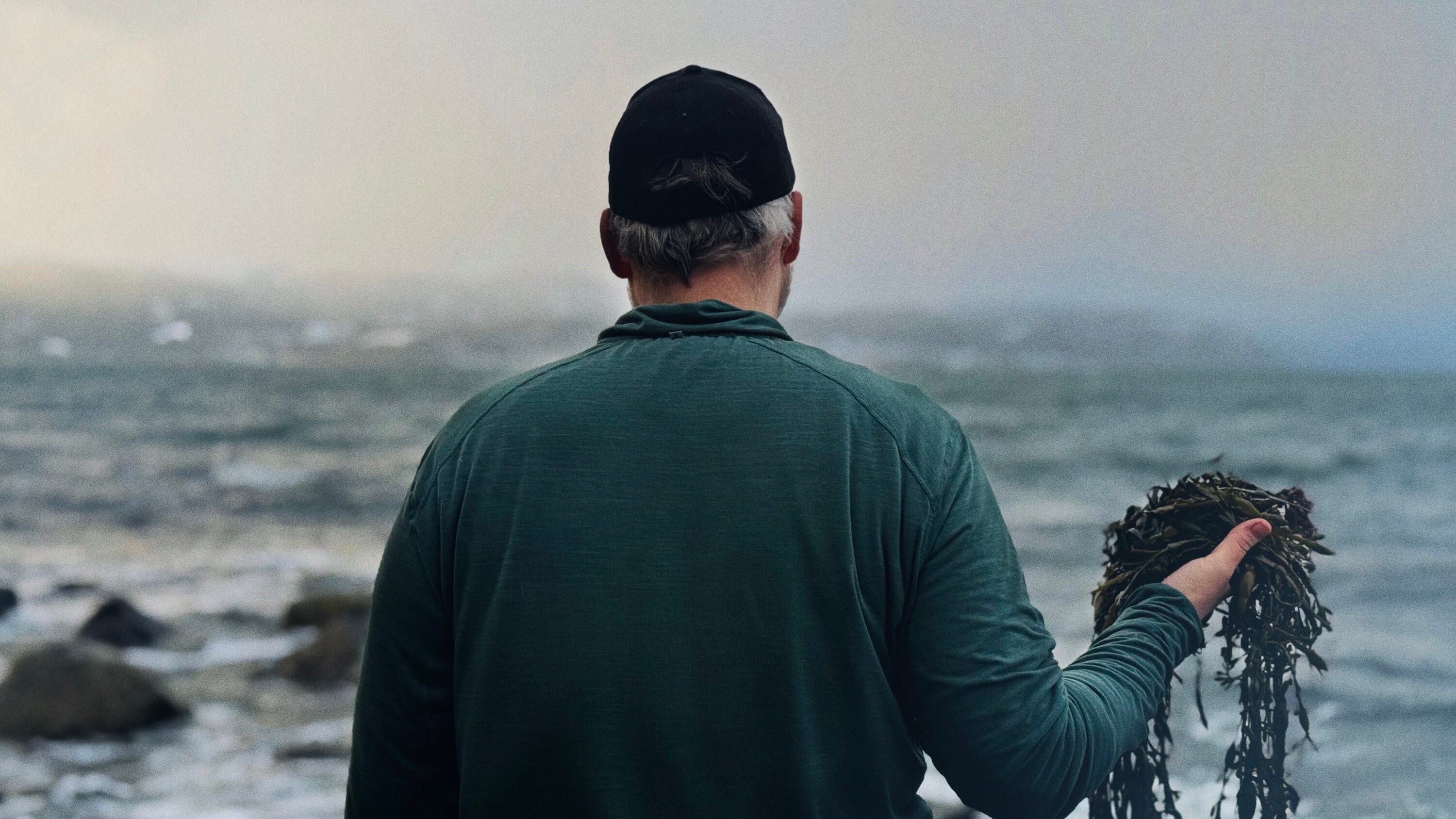 foto. person står ved havet med ryggen til kamera, har grønn genser og svart caps og holder en håndfull sjøtang