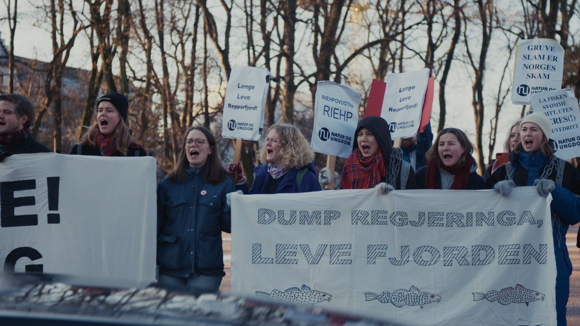Foto. En gruppe mennesker står og protester, de holder skilt og et banner hvor det står dump regjeringa leve fjorden.