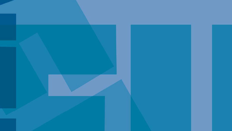 2010 årsrapport NFI formatert