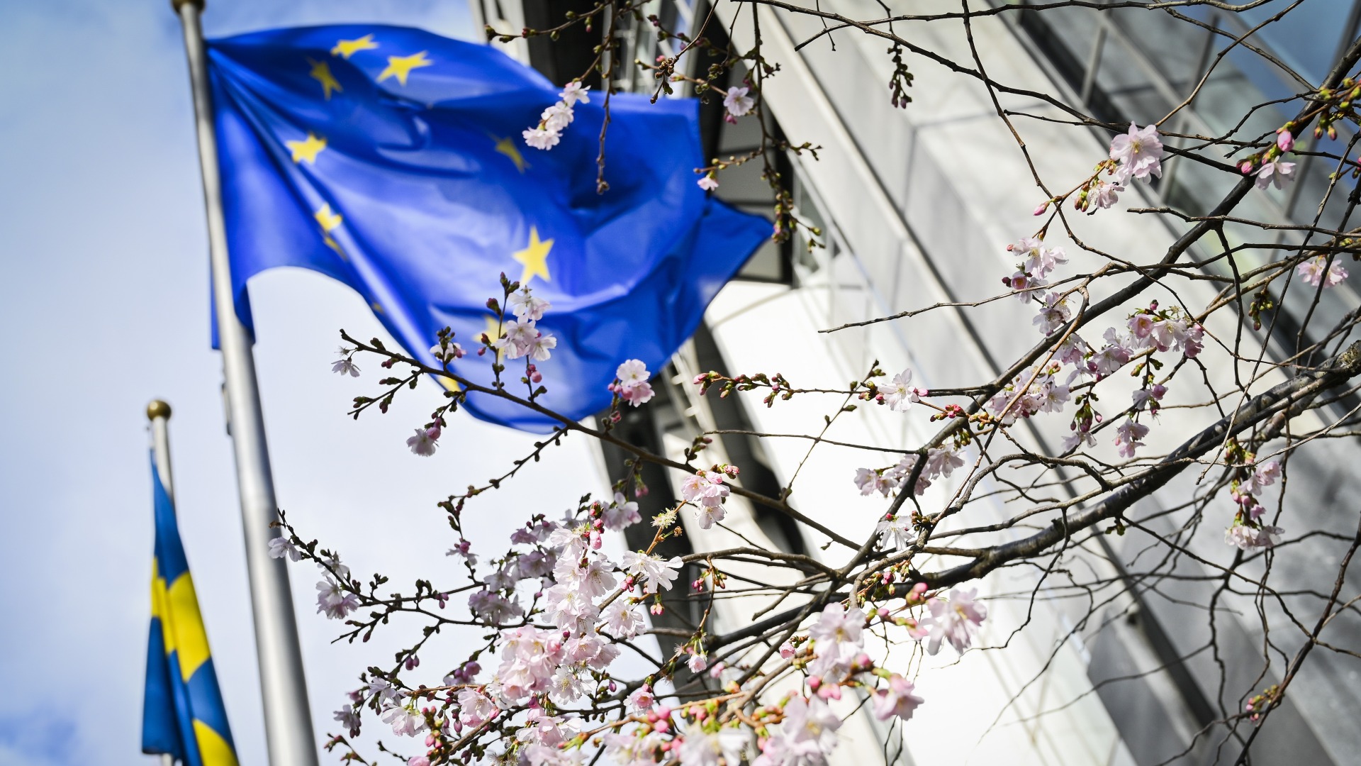 EU flagg Foto Sebastien Pirlet European Union