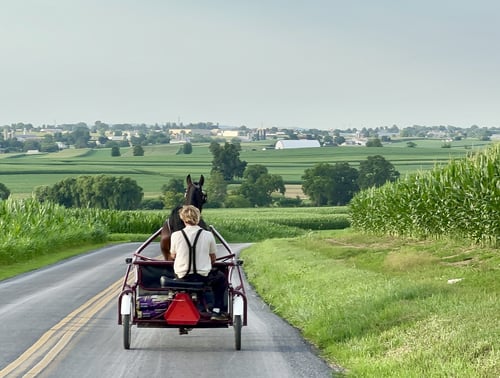 Beyond Shoofly Pie: Reasons to Visit Pennsylvania's Lancaster County This Summer