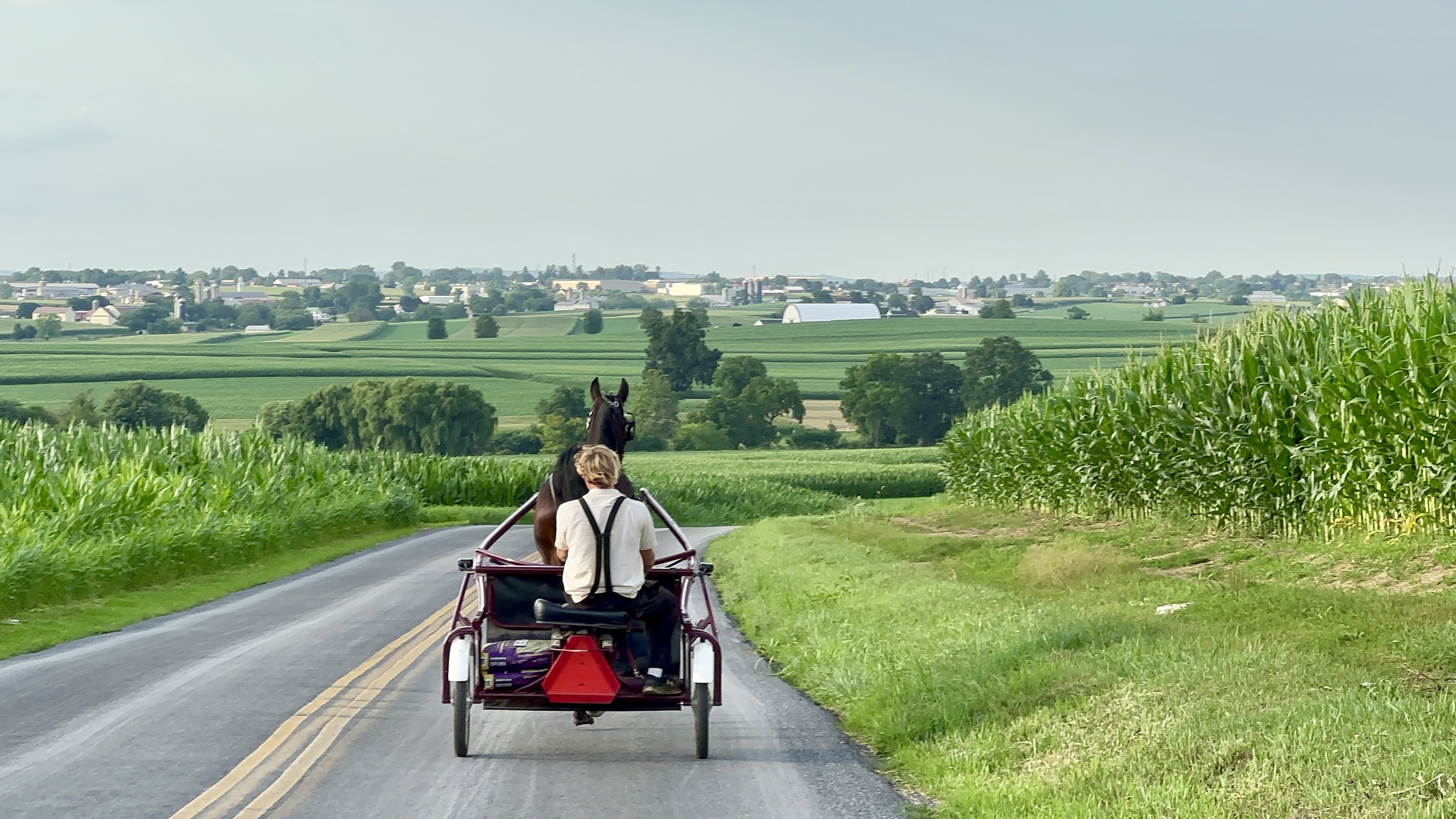 Amish Horse and Buggy, Lancaster, Pennsylvania