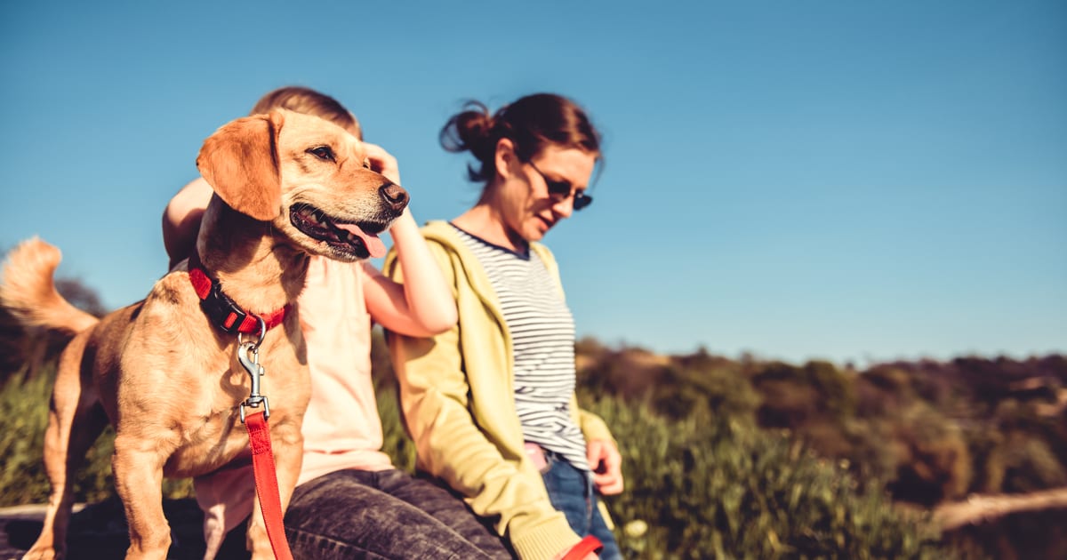 Find Dog-Friendly Hiking Trails with This Free Online Tool Find Dog-Friendly Hiking Trails with This Free Online Tool