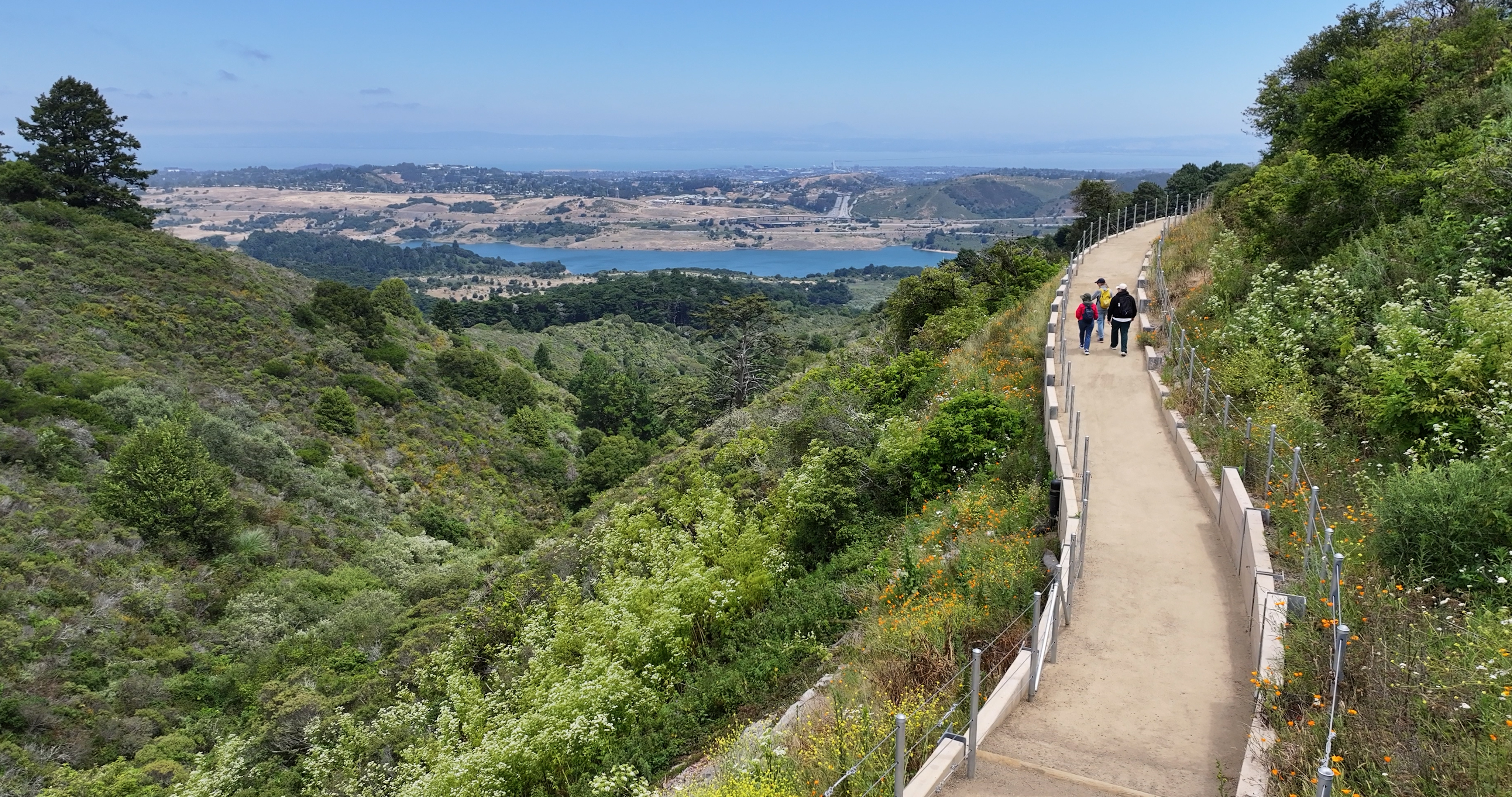 Skyline Watershed Ridge Trail in San Mateo County, California