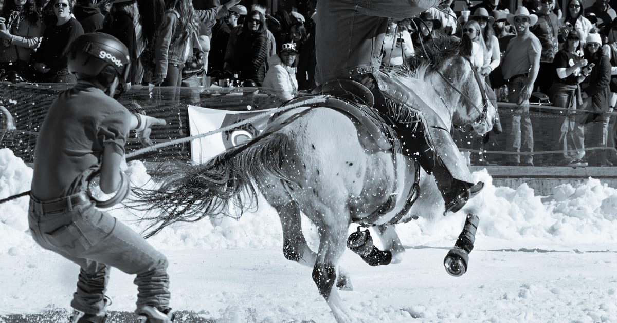 What Is Skijoring? The Wild Western Winter Sport You’ve… What Is Skijoring? The Wild Western Winter Sport You’ve…