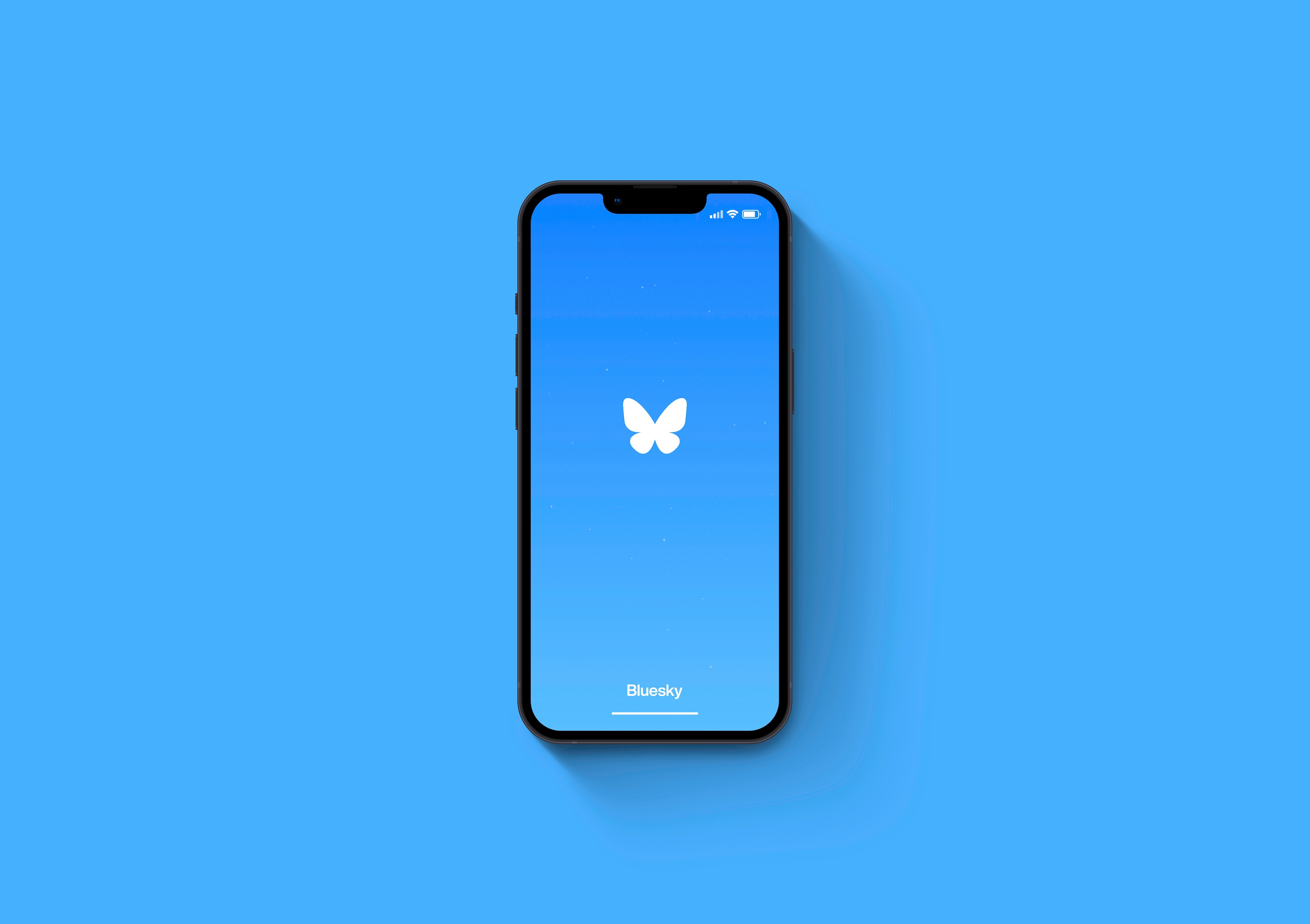 Bluesky app on phone