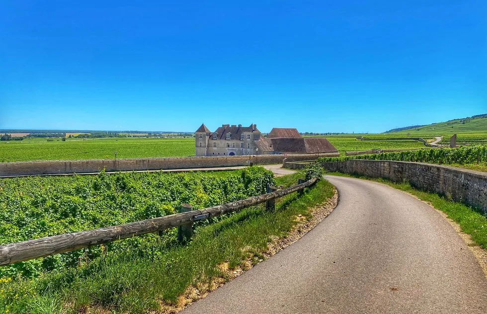 Routes des Grand Cru, France, Burgundy, Cycling, Travel, Frommers, Cotes de Nuits