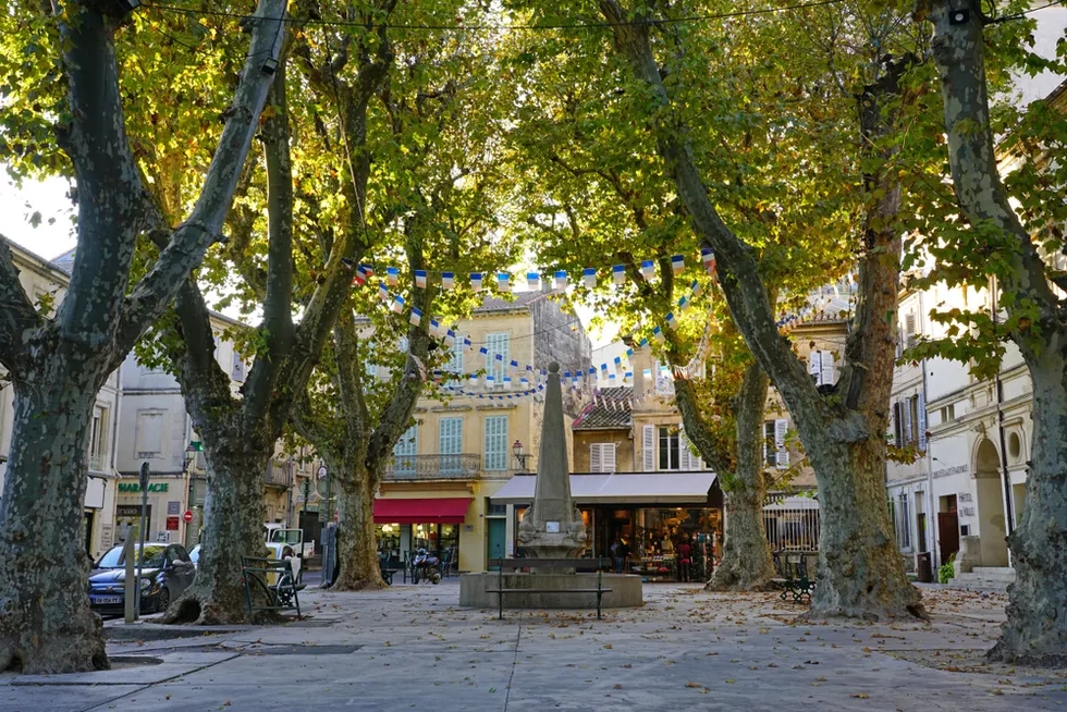 St-Rémy-de-Provence, Provence, France