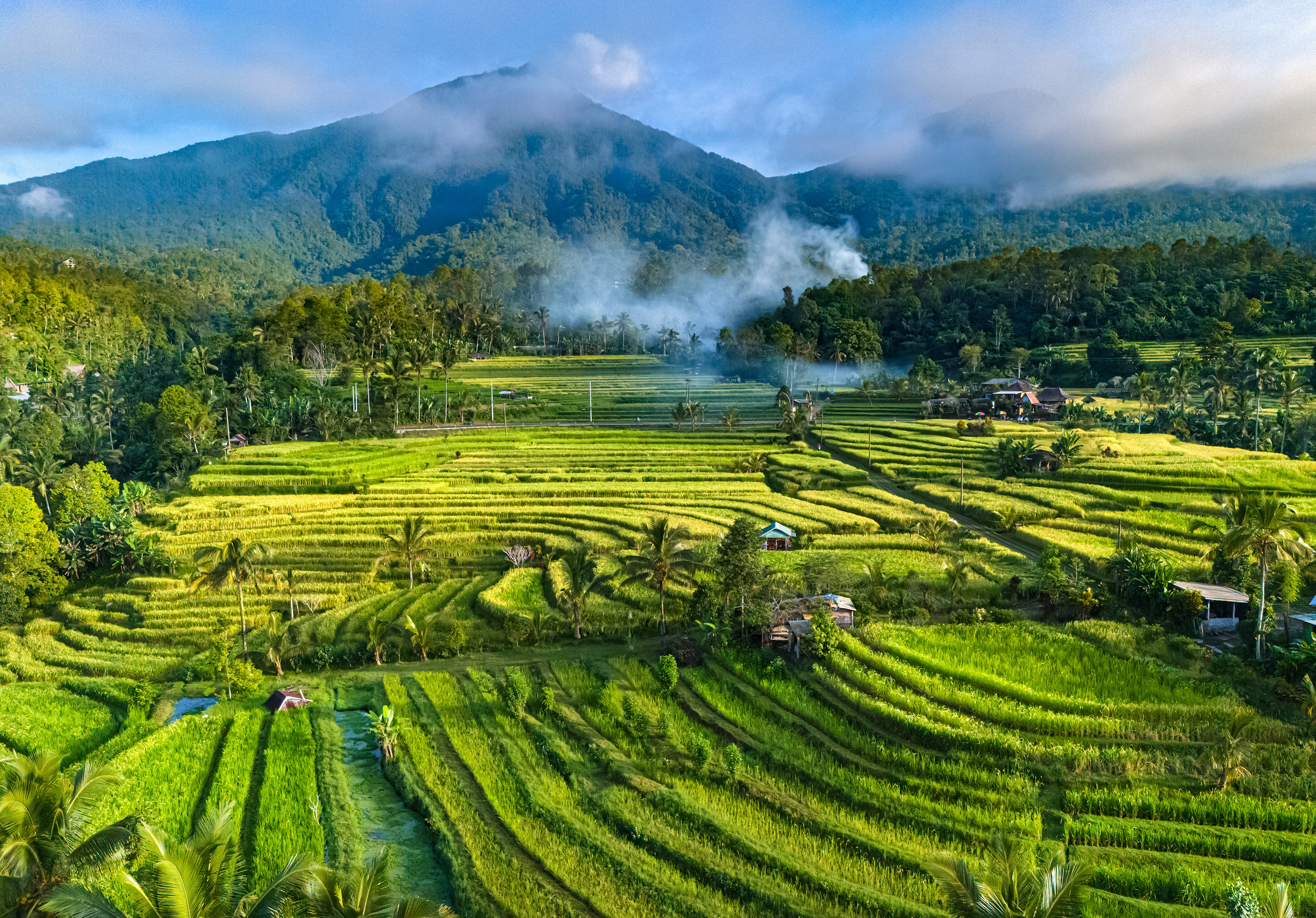 Bali Guide Cover Image