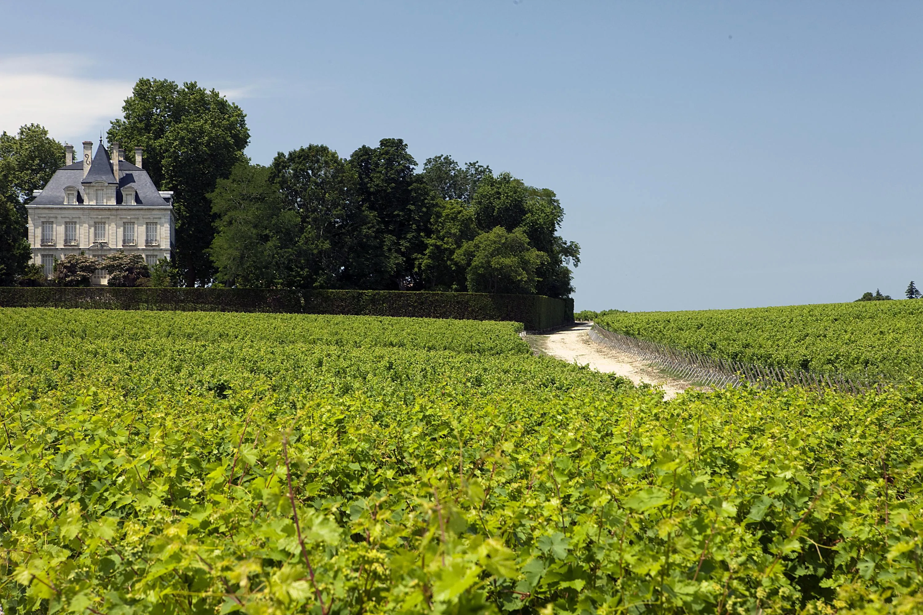 Chateau and vineyards, Bordeaux & Atlantic Coast, France