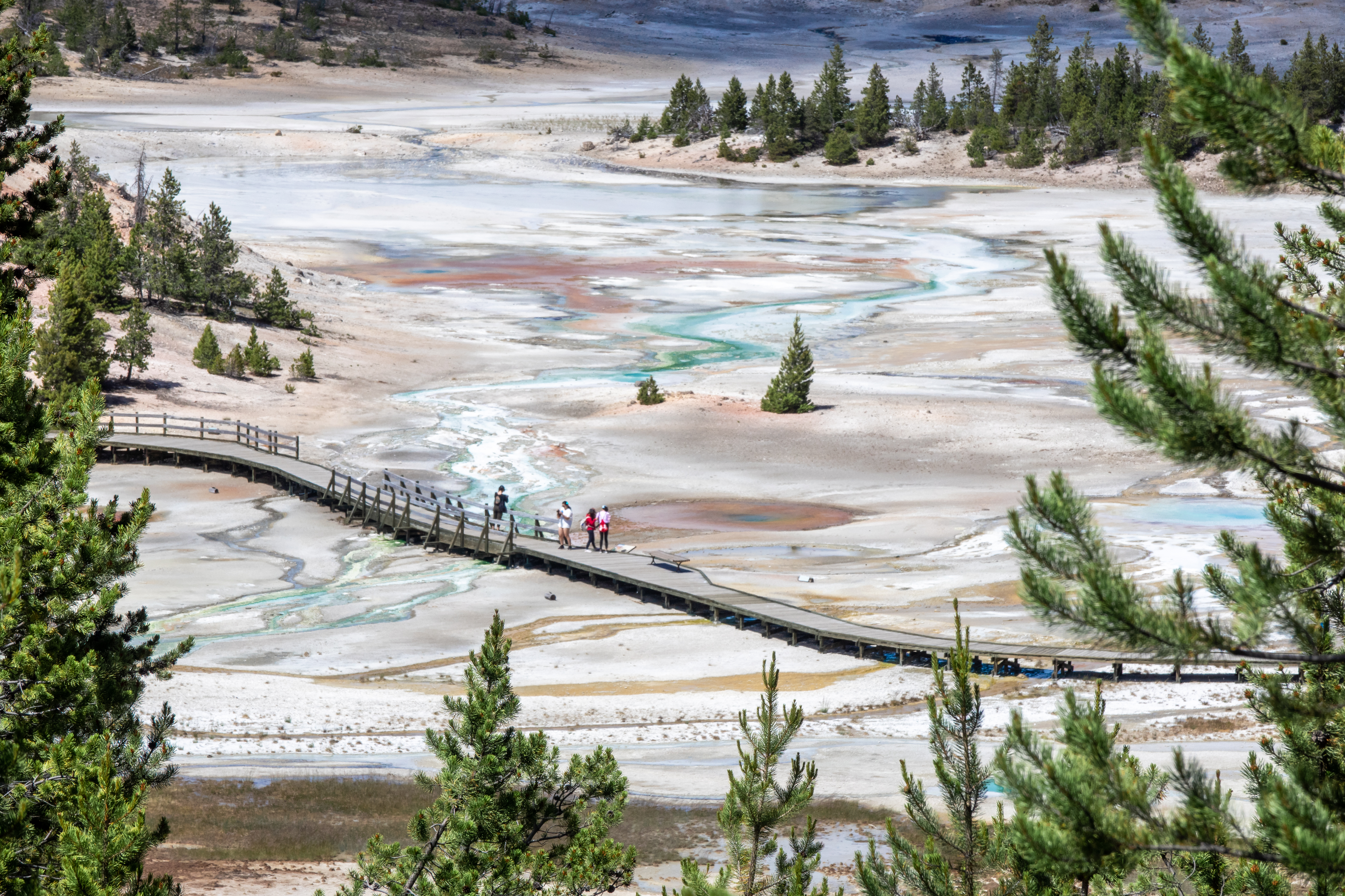 Norris Geyser Basin at Yellowstone National Park in Wyoming