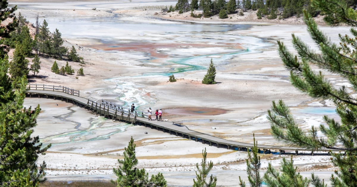 Tourists Continue to Make Terrible Decisions Around the… Tourists Continue to Make Terrible Decisions Around the…