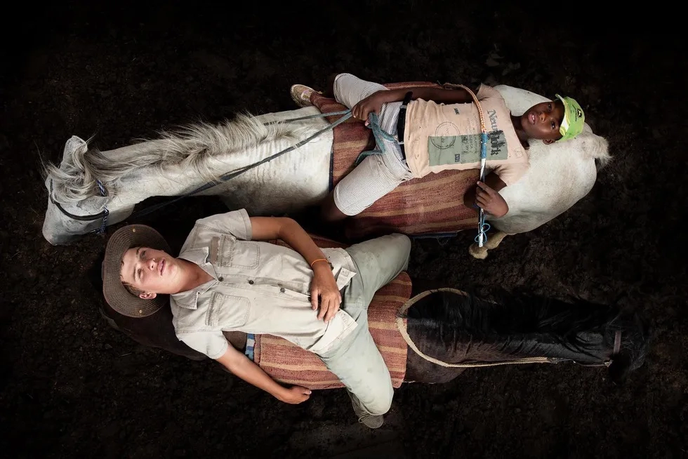 Young cattle herders in South Africa