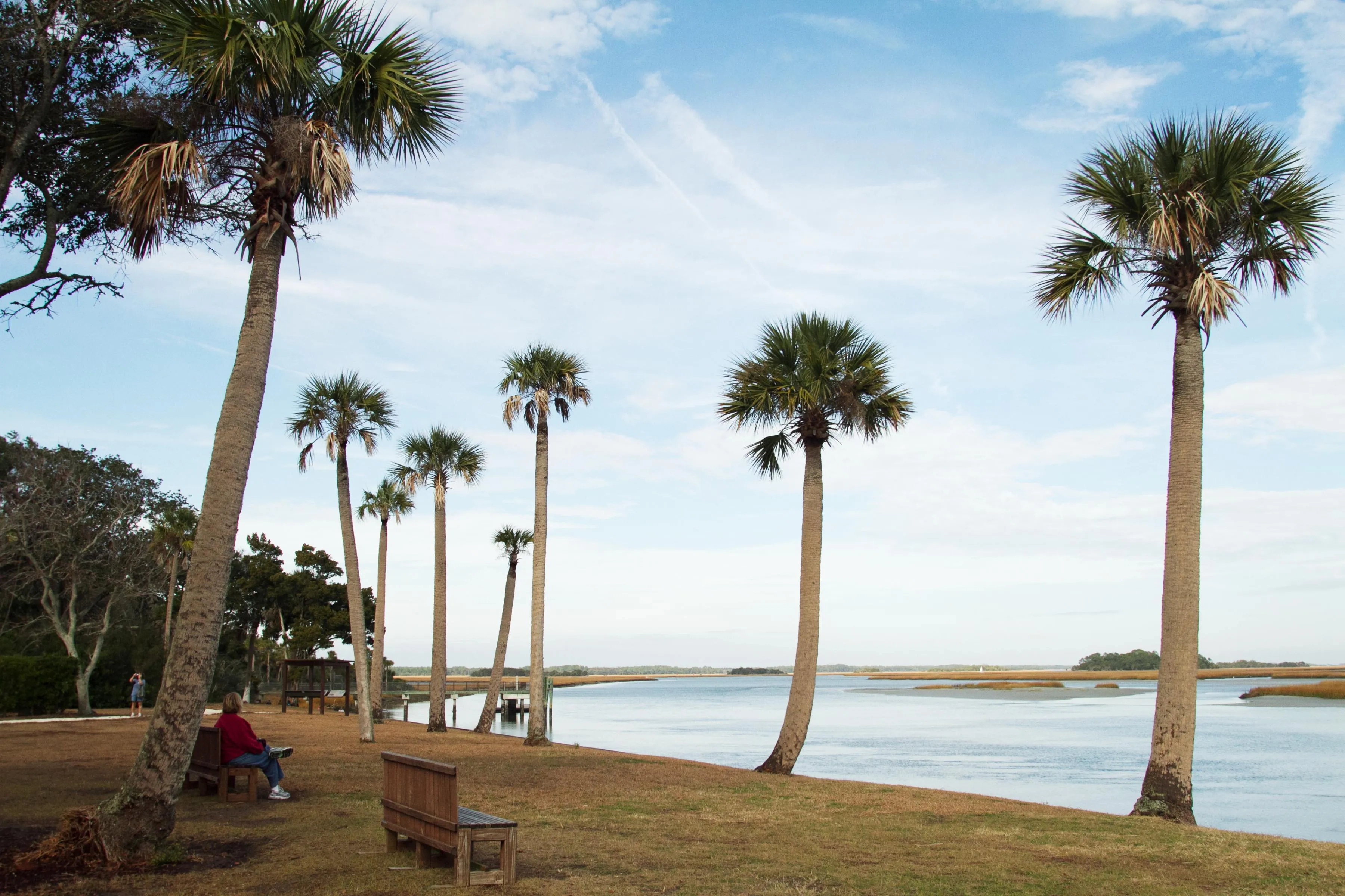 Timucuan Ecological Historic Preserve, Jacksonville bright