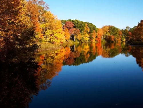 The 8 Best Places in New England for Leaf Peepers