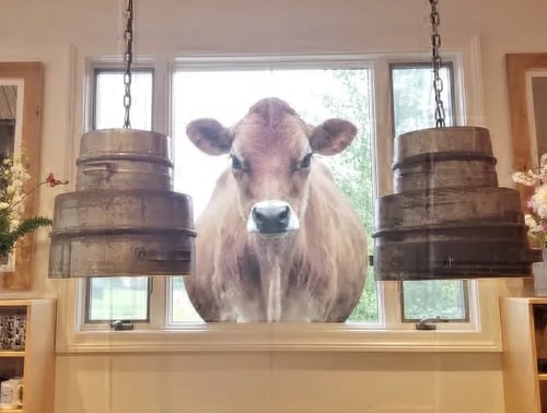 Waterbury, Vermont: Four Miles of Foodie Bliss