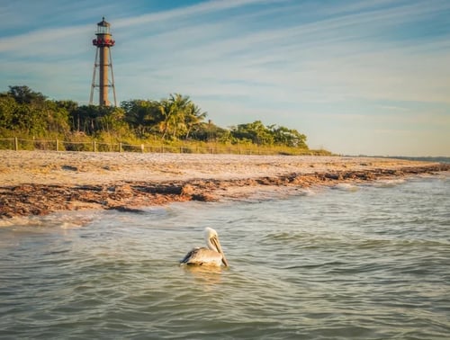 A First Timer's Guide to Sanibel Island, Florida's Nature Escape