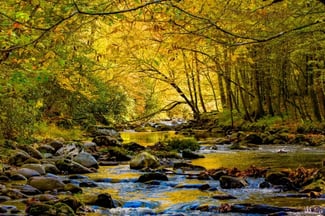 The Best National Parks to Visit This Fall