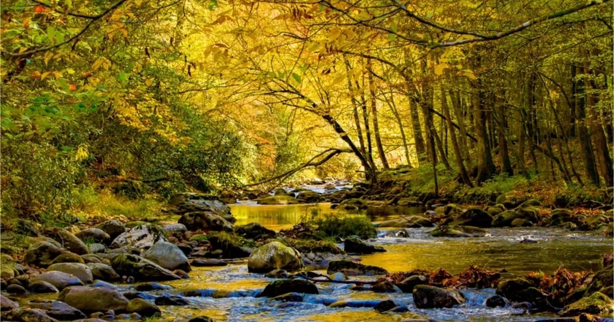 The Best National Parks to Visit This Fall