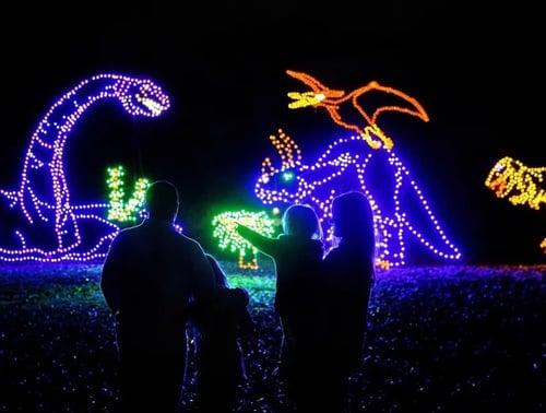 Holiday Dazzle: The USA’s Most Spectacular Winter Light Displays
