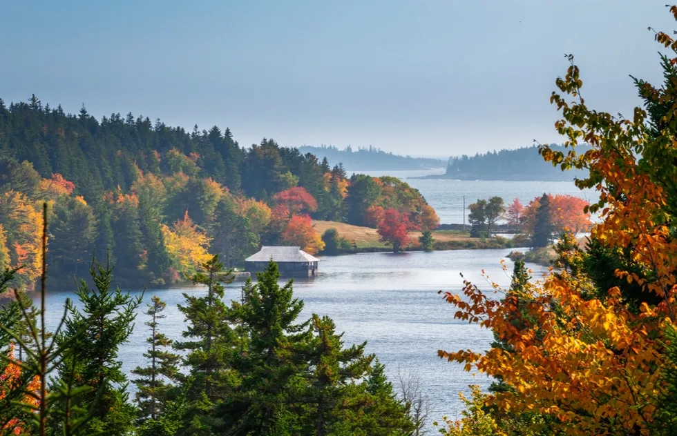 Acadia National Park Maine webp