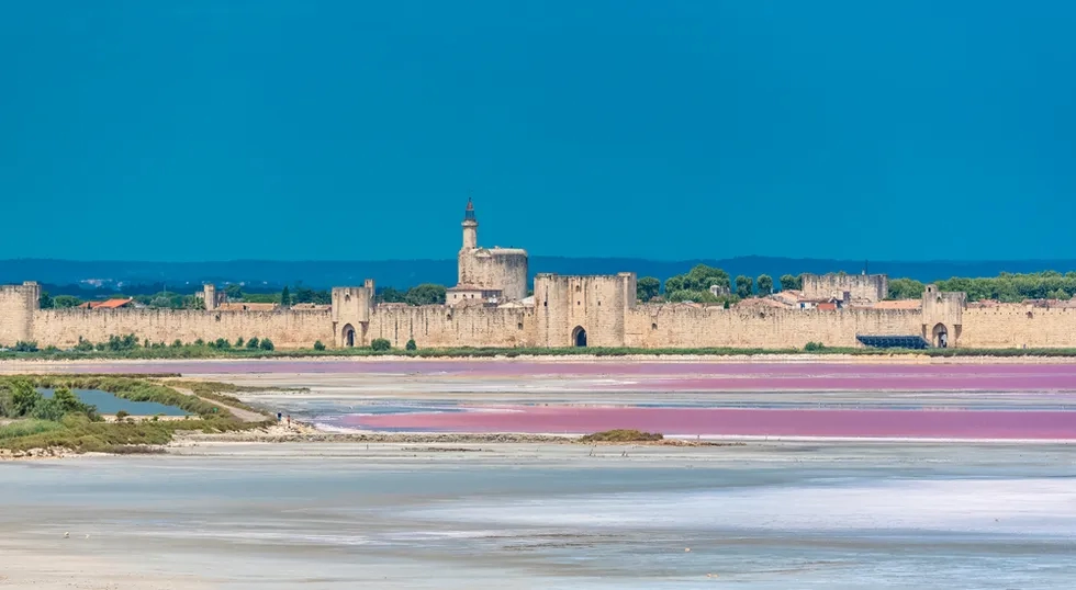 Aigues-Mortes, Occitanie, Salt Marshes, France