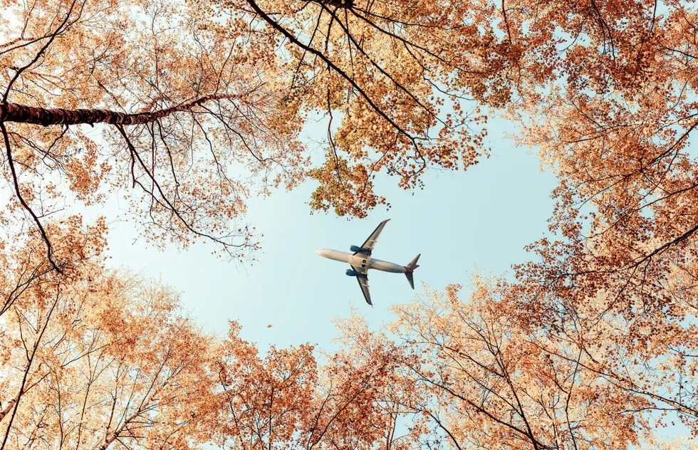 Airplane amid autumn leaves