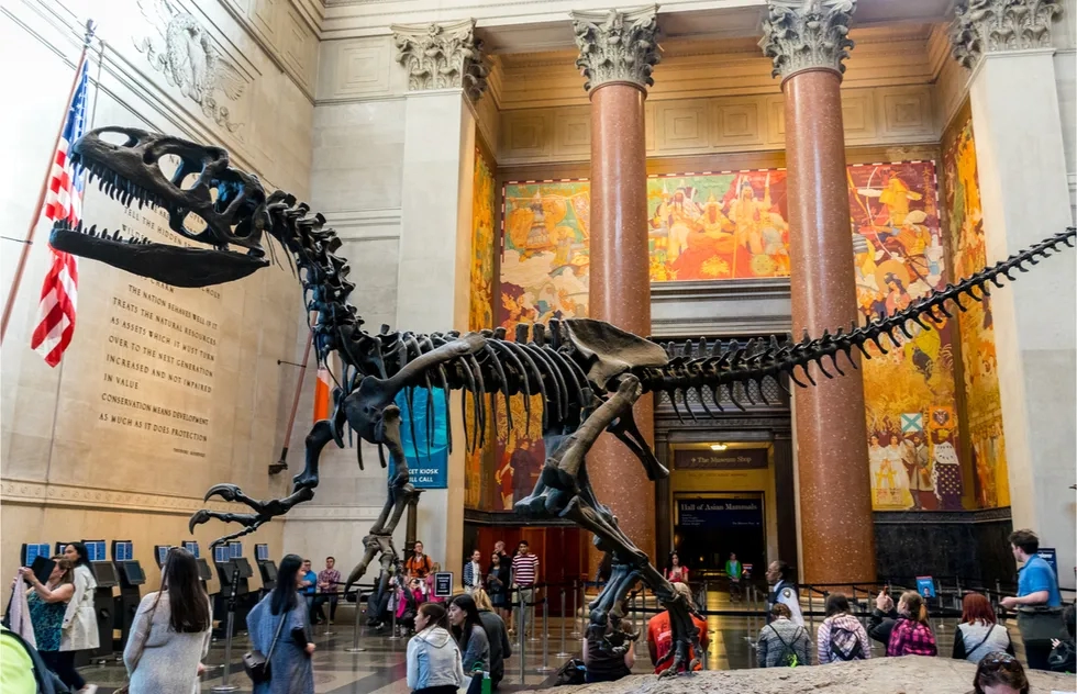 American Museum of Natural History, New York City, New York, Travel