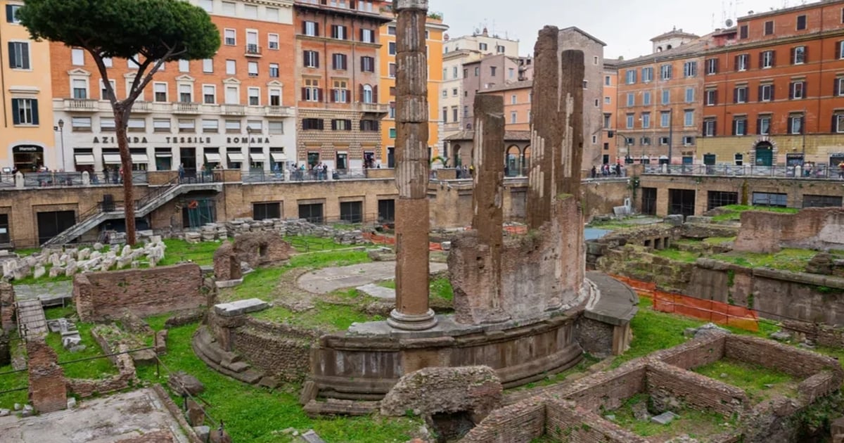 The Feline Takeover of the Roman Square Where Julius Caesar Was…