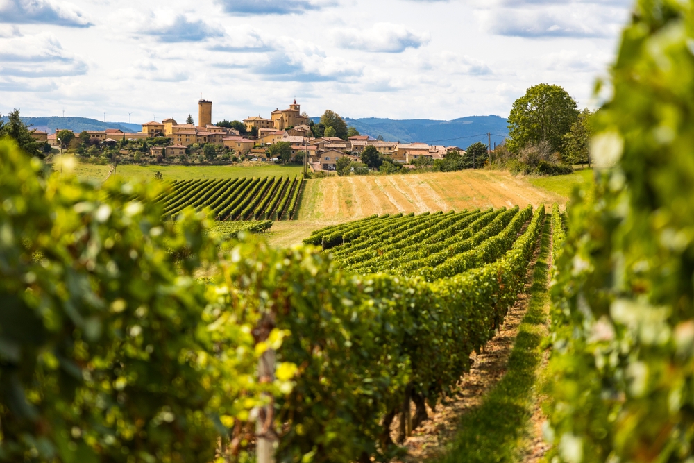 Oingt, Beaujolais, Rhone Valley, France
