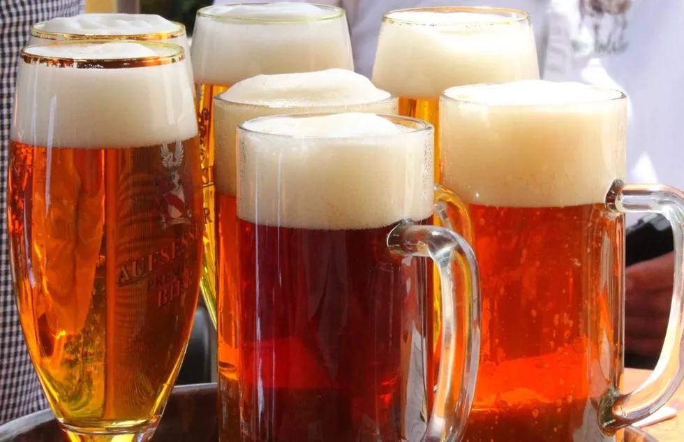 A tray of mugs and glasses holdiing amber beers with foam