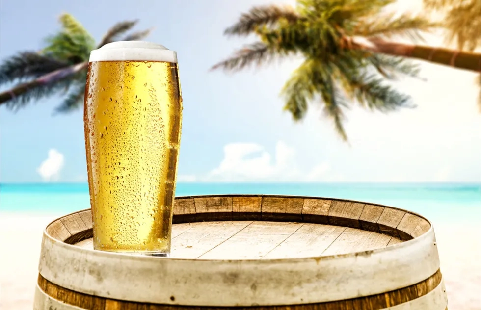 Glass of beer, palm trees, sunset