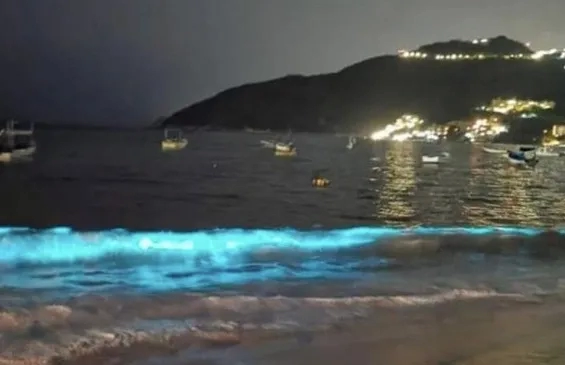 Bioluminescent Bay, Acapulco, Mexico