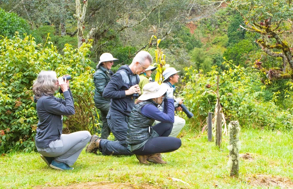 Bird watching, Costa Rica