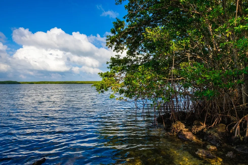 Biscayne National Park, Florida