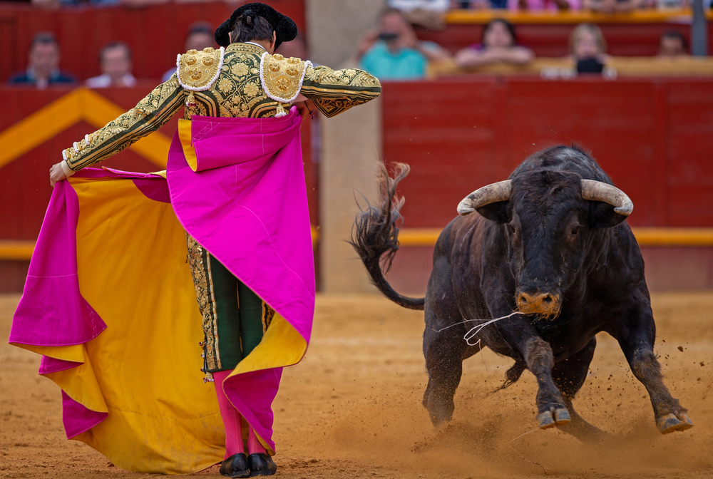 Bull fight, Seville, Andalucia, Spain